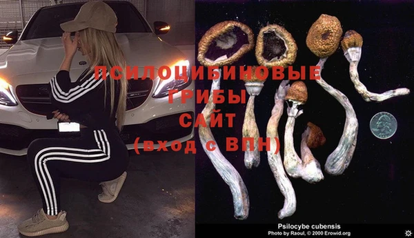марки lsd Богданович