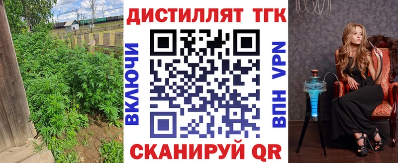 Купить где  Онега  Дистиллят ТГК гашишное масло 