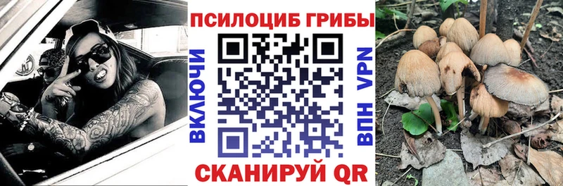 Купить закладки  Онега  Псилоцибиновые грибы Magic Shrooms 