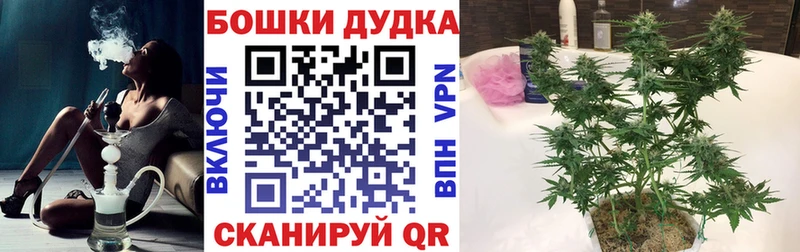 Купить где  Онега  Конопля White Widow 